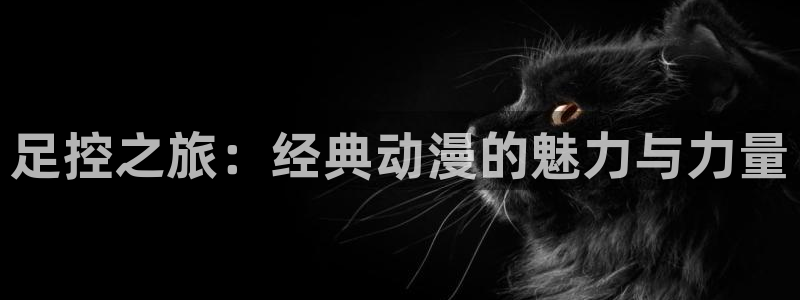 omofun动漫共和国：足控之旅：经典动漫的魅力与力量