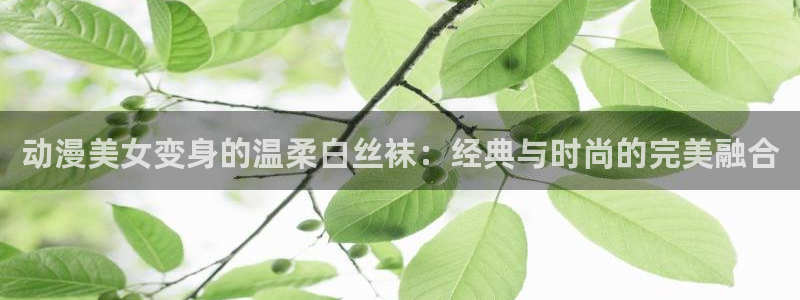 omofun动漫 官网下载最新版本：动漫美女变身的温柔白丝袜：经典与时尚的完美融合